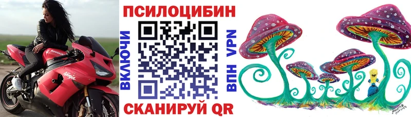 Купить  Ермолино  Галлюциногенные грибы Psilocybine cubensis 